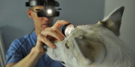 Οφθαλμολογία 1