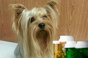 pharmacy